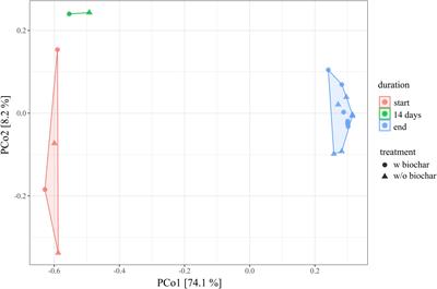 Thermophilic Composting of Human Feces: Development of Bacterial Community Composition and Antimicrobial Resistance Gene Pool